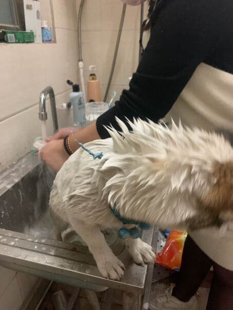 咖卡猫咪沐浴露宠物香波浴液洗澡宠物用品500ml三个多月的狗狗可以用抑菌的嘛？