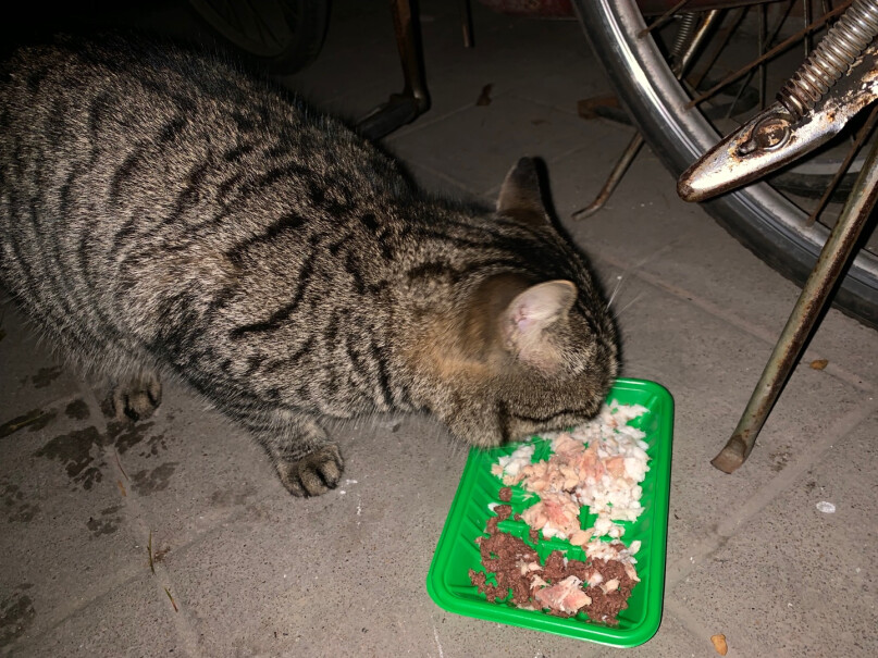 麦富迪猫粮请问这款猫粮会不会油？吃了有没有黑下巴或者有泪痕？