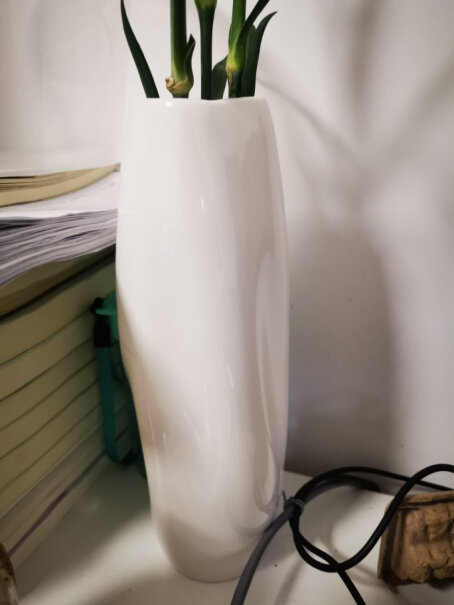 佳佰26cm现代艺术纹理陶瓷花瓶北欧简约田园家居装饰摆设花插这个用来插什么花？