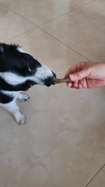 狗零食YaHo亚禾狗狗磨牙棒牛肉味25g*40根整盒装质量好吗,评测哪款值得买？