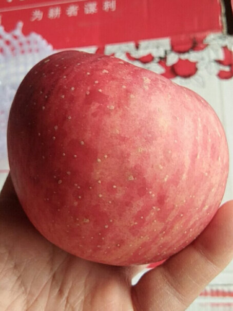 洛川苹果（luochuanapple）苹果陕西洛川的苹果新鲜红富士质量真的好吗,评测哪一款功能更强大？