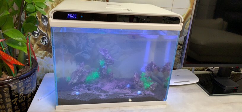 鱼缸-水族箱森森鱼缸水族箱鱼缸灯增氧水泵造景超白玻璃金鱼缸质量到底怎么样好不好,质量值得入手吗？