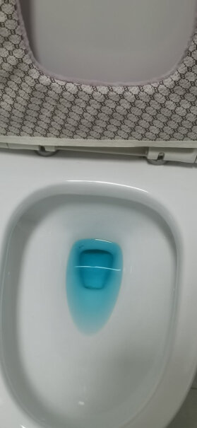 洁厕剂英国vilosi洁厕宝蓝泡泡250g*3评测教你怎么选,值得买吗？