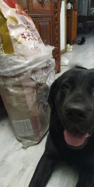 疯狂的小狗成犬狗粮金毛拉布拉多萨摩耶边牧阿拉斯加现在能发货吗？