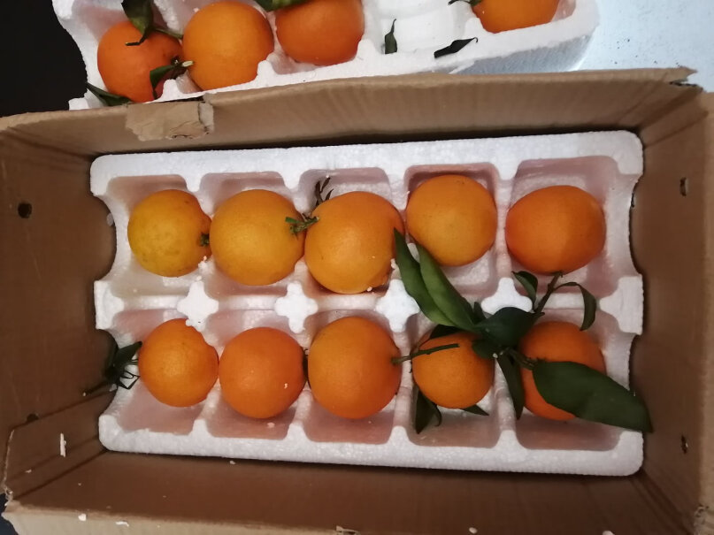 勇者无惧应季整箱春见时令柑橘新鲜水果四川入手怎么样？使用良心测评分享。