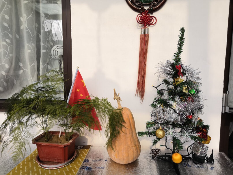 创意玩具芊芊熊豪华加密家庭办公室摆件发光圣诞树测评大揭秘,对比哪款性价比更高？