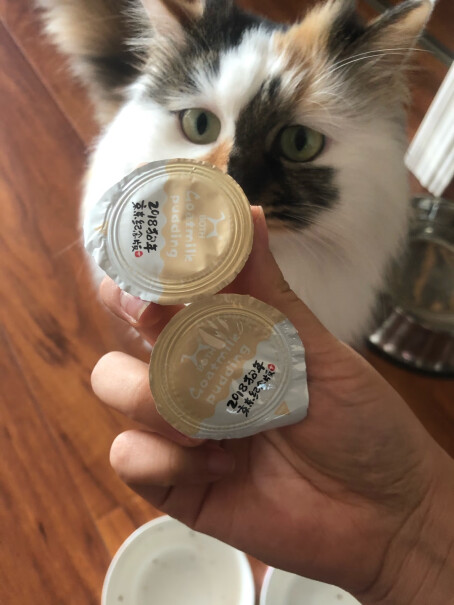 京东JOY定制款BOTH猫零食山羊奶蛋黄猫布丁15g*20我家的猫两个月就开始吃猫粮了，这个可以吃吗？