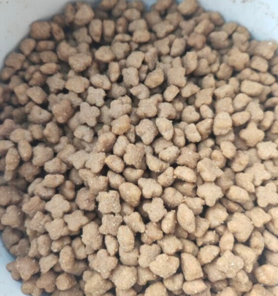 艾天力狗粮马犬可以吃这个吗？七八个月大的！您的狗狗第一次吃有没有什么异常情况？谢谢回答？