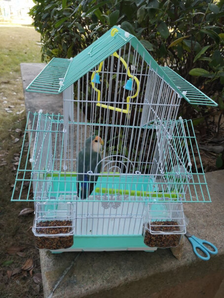 鸟类用品朗缤小鸟笼子大号豪华别墅小型通用屋型鸟笼可以入手吗？测评结果让你出乎意料！