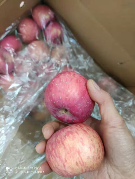 洛川苹果（luochuanapple）苹果陕西洛川的苹果新鲜红富士优缺点大全,评测哪款值得买？