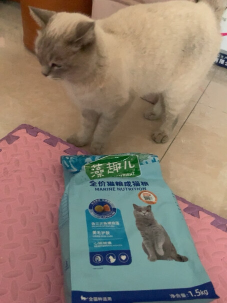麦富迪猫粮藻趣儿10kg奥丁麦富迪哪个好一点？