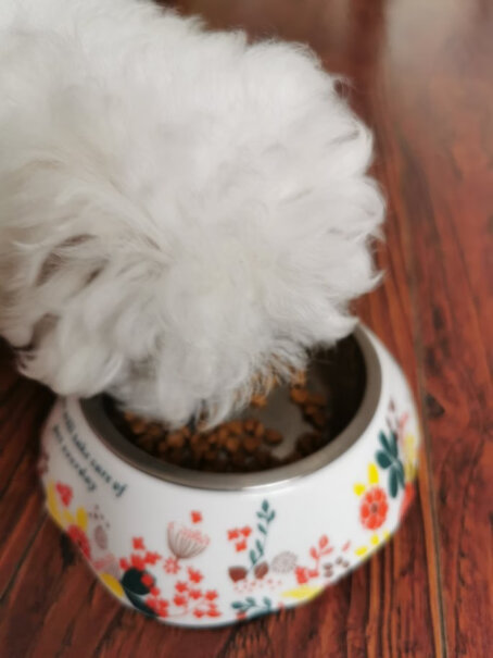 ROYALCANIN边牧幼犬能吃吗？