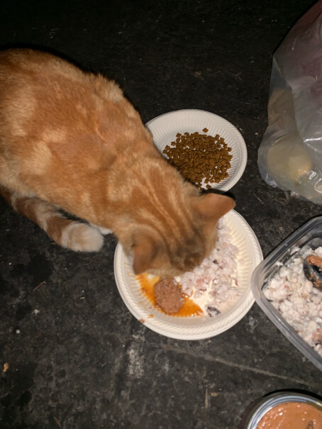 麦富迪猫粮请问这款猫粮会不会油？吃了有没有黑下巴或者有泪痕？