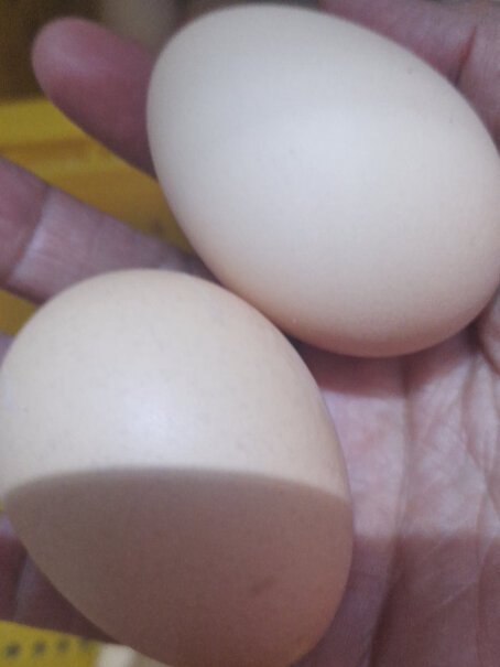 宛味宝新鲜谷物鸡蛋和正常鸡蛋大小一样么？