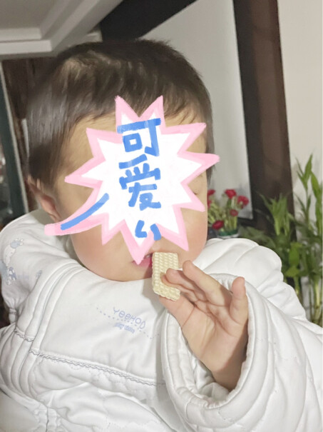 小鹿蓝蓝_婴幼儿威化饼干芝士味居然是代可可脂，能放心给孩子吃嘛？