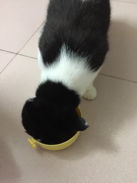 伟嘉幼猫猫粮1.2kg吞拿鱼味布偶蓝猫橘猫加菲英短猫咪全价粮吃完拉屎臭吗？