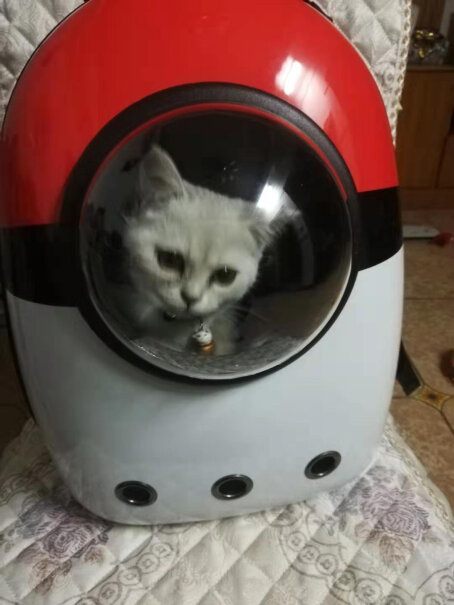 航空箱-便携包维利亚猫包宠物包外出便携透气猫咪双肩背包太空舱值得买吗？评测数据如何？