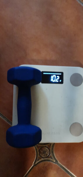 诚悦运动健身器材磨砂浸塑哑铃10公斤CY-102蓝色请问大家这个多大啊？直径和长度。。。
