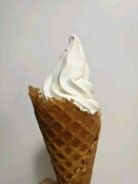 冰淇淋机复旦申花冰淇淋机商用冰激凌机雪糕机功能真的不好吗,评测比较哪款好？