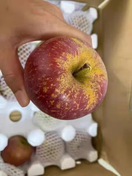 正鲜季大凉山丑苹果红富士 3斤中果推荐哪款？使用两个月评测反馈！