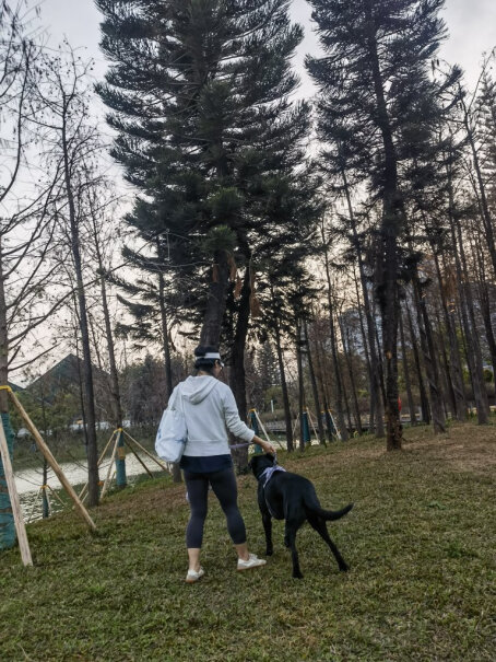 Meatyway爵宴狗零食新品训犬大礼包300g评测结果好吗？最真实的图文评测分享！