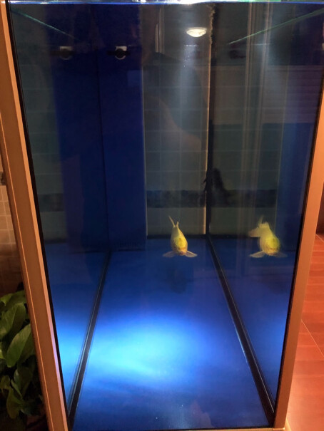 鱼缸-水族箱森森鱼缸水族箱含鱼缸过滤器灯大中型金鱼缸宝马灰评测下来告诉你坑不坑,怎么样？