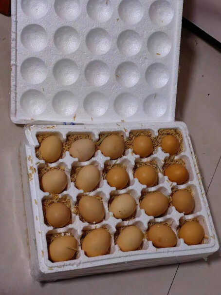 宛味宝新鲜谷物鸡蛋评测质量好不好？3分钟了解评测报告！
