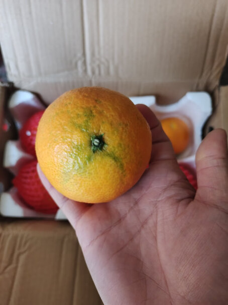 X-PLUS四川爱媛果冻橙礼盒我买到的橙子全是冻伤的，卖家还不给售后，你们收到都是好的？