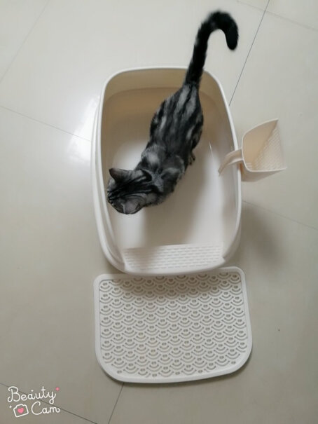 猫砂盆猫乐适猫砂盆半封闭式猫厕所评测教你怎么选,对比哪款性价比更高？