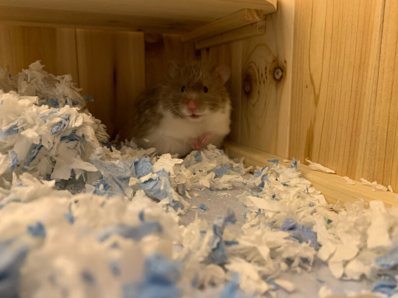 鼠类用品路伯rm纸棉仓鼠无尘纸棉垫料4包装怎么样？评测下来告诉你坑不坑？