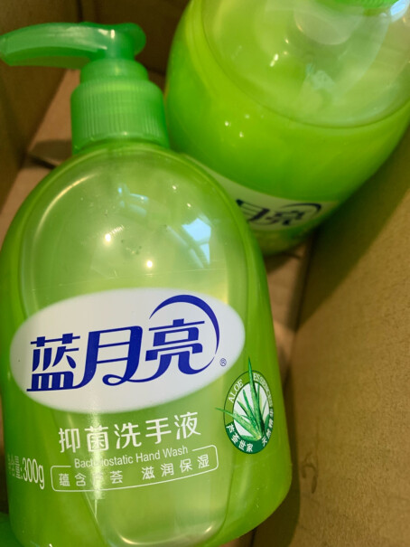 蓝月亮芦荟抑菌洗手液300g一箱多少瓶？