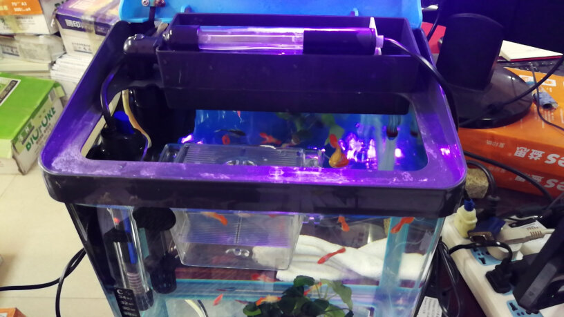 鱼之宝鱼缸杀菌灯有没有效果？