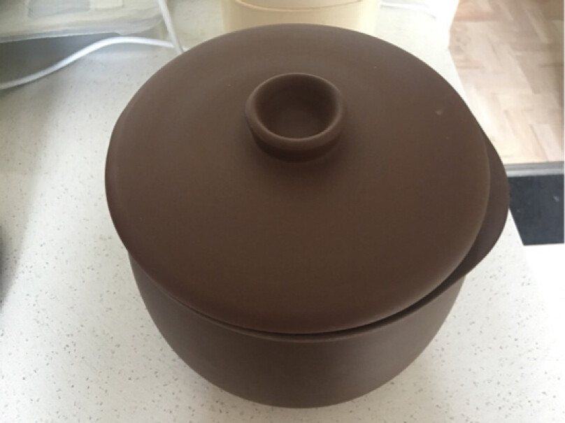 小熊电炖锅紫砂锅隔水炖盅家用白瓷大容量煲汤煮粥燕窝放水蒸的内胆是紫砂还是塑料的？