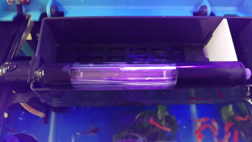鱼之宝鱼缸杀菌灯请问这个放进去对鱼有影响吗？