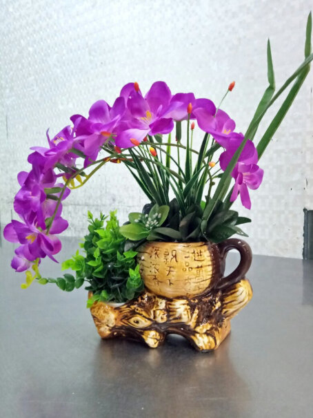 喜莱卡蝴蝶兰花仿真花盆景桌面摆件室内哪个颜色好看一点？