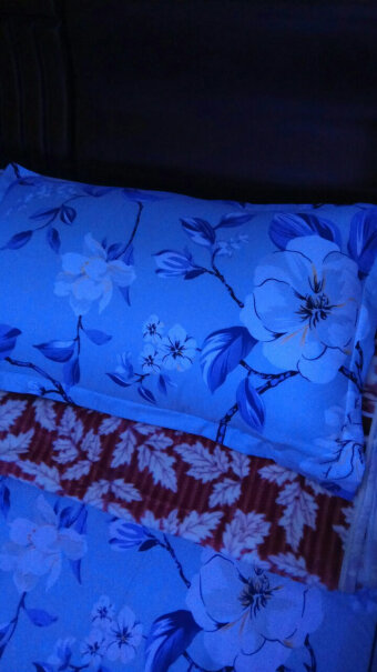 纤维枕水星家纺全棉枕头枕芯抗菌适中款低款加厚成人睡眠枕头床上用品一定要了解的评测情况,哪个更合适？
