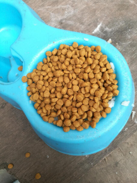 力狼猫粮幼猫成猫通用天然猫食您好，我想问一下您家猫猫吃完黑下巴不？