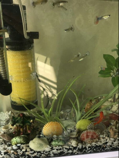 sobo松宝鱼缸过滤器圆形玻璃缸能吸住吗？