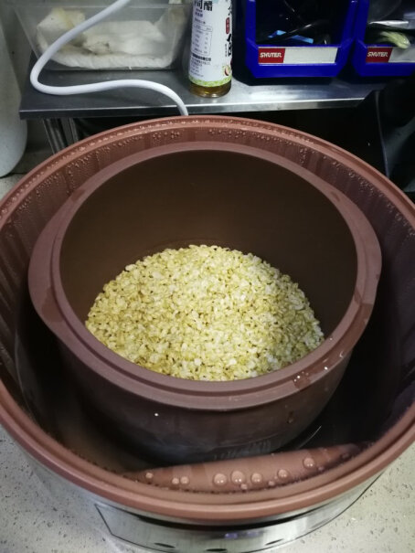 小熊电炖锅紫砂锅隔水炖盅家用白瓷大容量煲汤煮粥燕窝这款有小点的吗要3升的？
