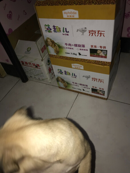 麦富迪宠物狗粮刚满月的泰迪可以吃吗？