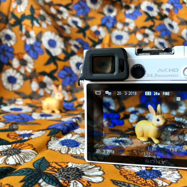 索尼A6000微单相机双镜头套装（银色）相机有内存卡吗？