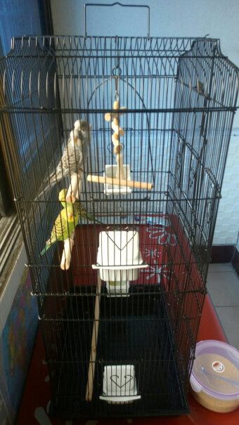 宠儿新家玄凤虎皮鹦鹉笼子有带中隔网的吗？可以分开养两对不同品种的鸟？
