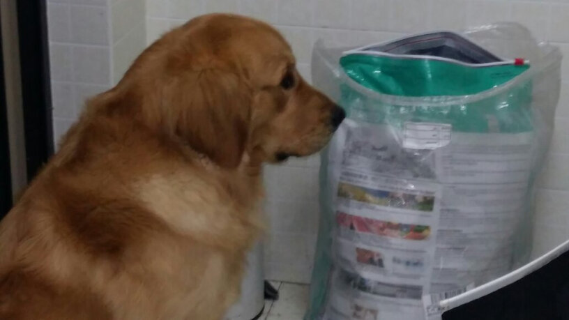 伯纳天纯Pure&Natural宠物狗粮7个月白色博美吃了，会不会加重泪痕？
