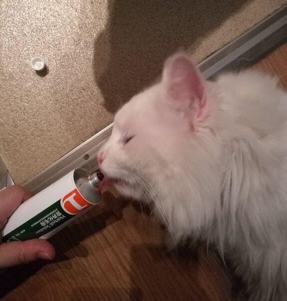RedDog红狗猫用化毛膏营养膏经常吃会有副作用吗？