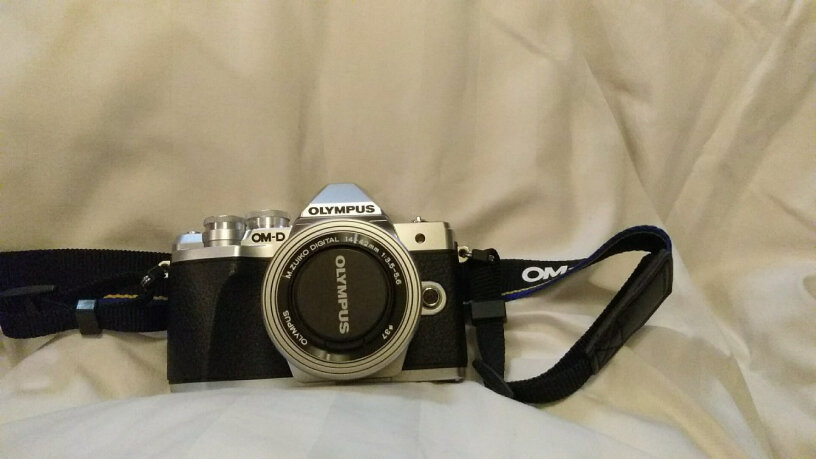 奥林巴斯E-M10 MarkIV微单相机你们的取景器会闪屏么？