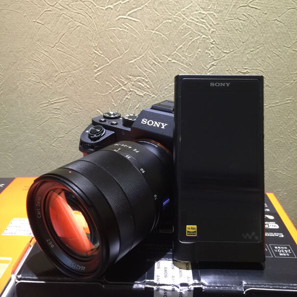 SONY Alpha 7 II 微单相机我就出去玩 想买一个相机 请问各位有什么推荐么？