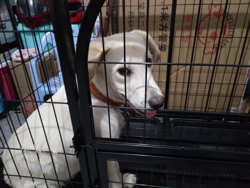 笼子-围栏狗笼中型犬大型犬狗笼子这样选不盲目,使用感受？