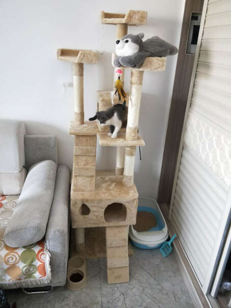 猫爬架贝尼熊猫爬架可以入手吗？评测结果好吗？
