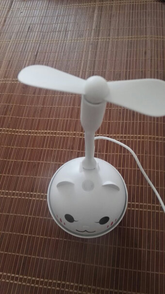 德力普加湿器USB加湿器迷你静音喷雾能不能烧一晚上？或者没水它会断电不？