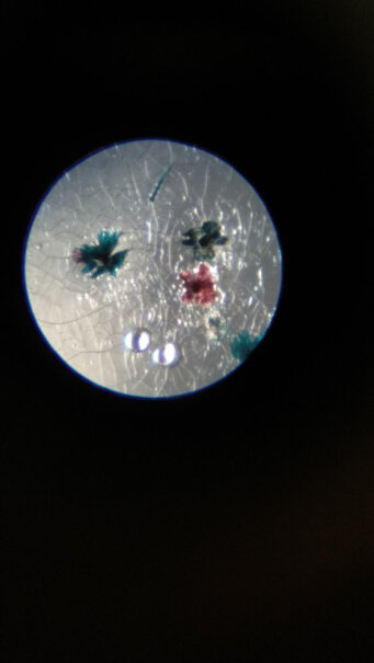 星特朗微观科普儿童显微镜学生里面有配套的盖玻片载玻片之类的吗？